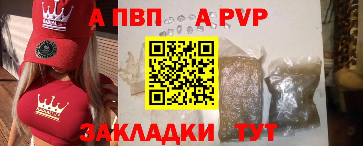 Alpha PVP СК КРИС  даркнет сайт  A PVP СК КРИС  Alpha PVP  Вход с VPN  Гусев  Alpha-PVP СК КРИС 