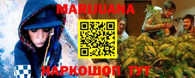 индика Ефремов