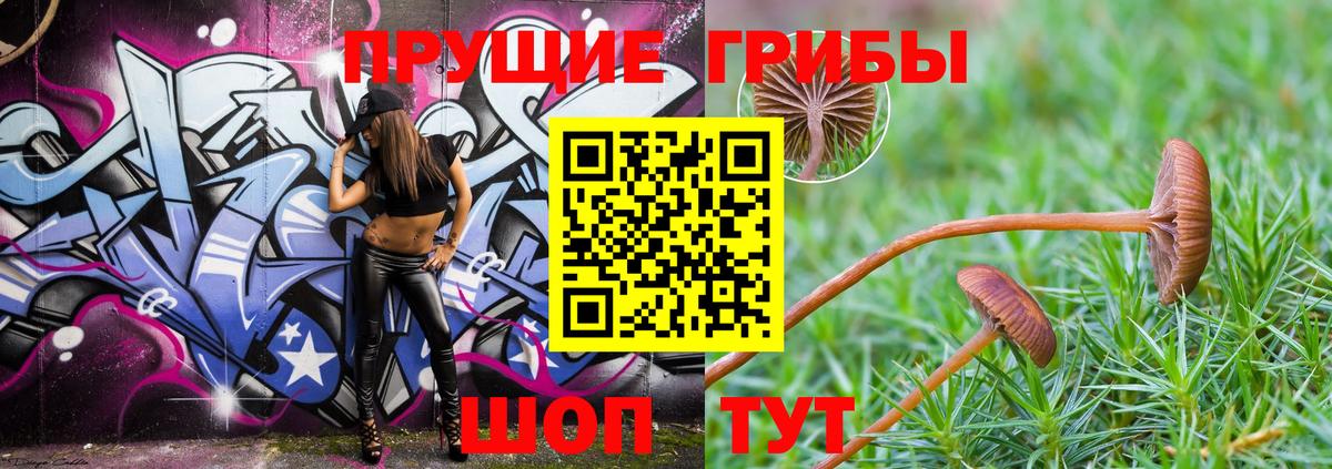 Псилоцибиновые грибы мицелий Гусев
